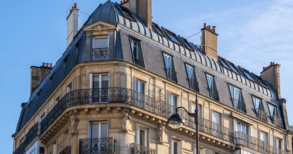 Cafards dans un immeuble : engager une action collective en copropriété